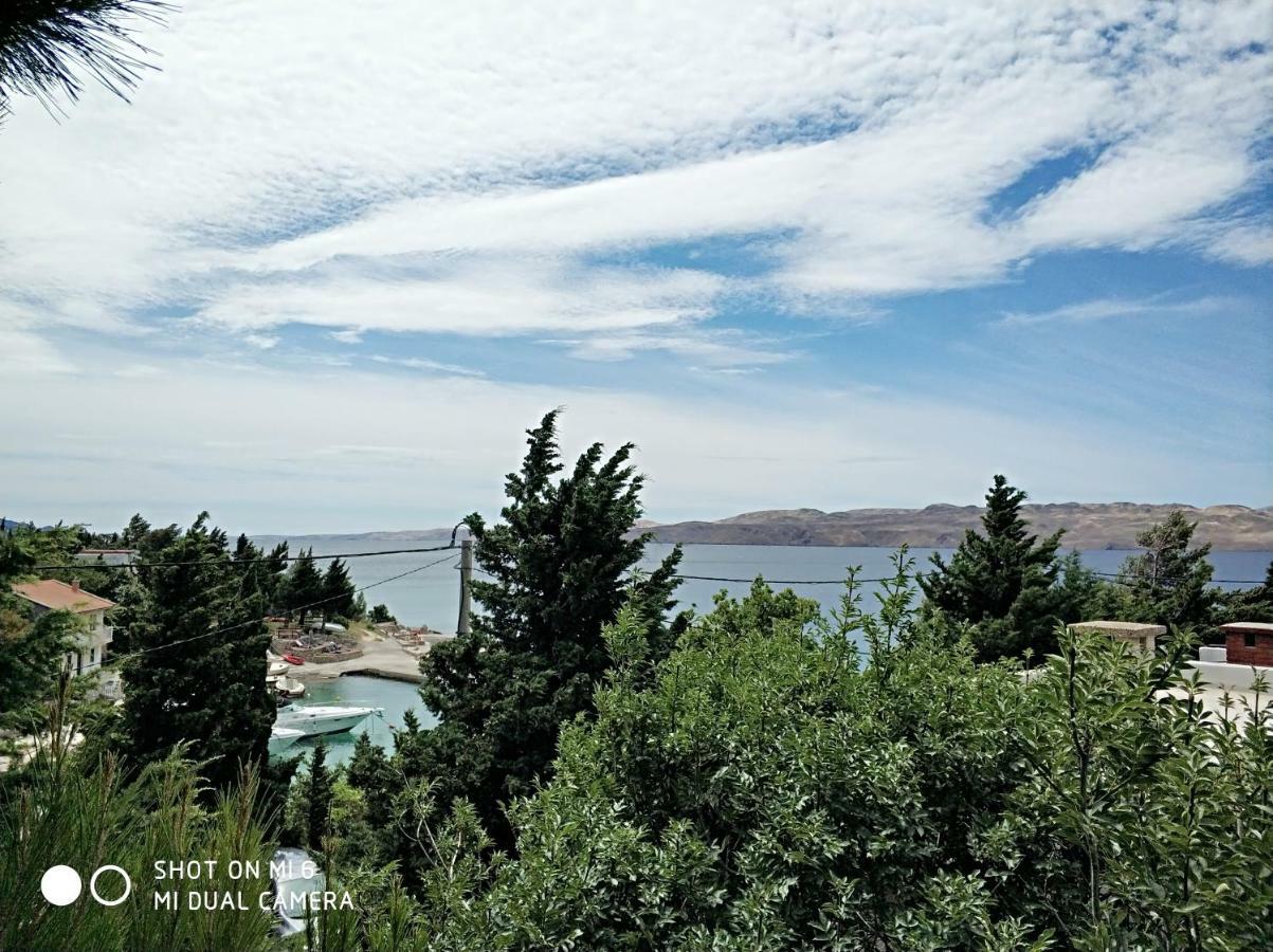 Danica Holiday House Cesarica Dış mekan fotoğraf