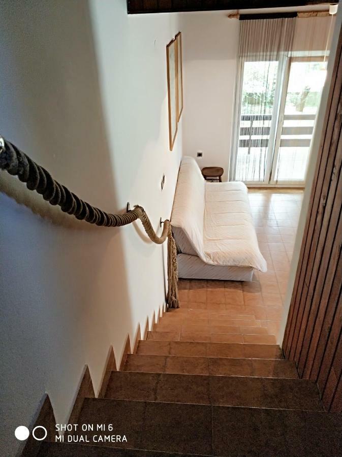 Danica Holiday House Cesarica Dış mekan fotoğraf