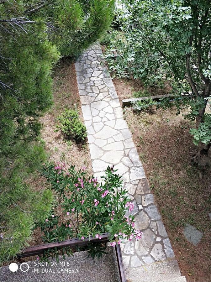 Danica Holiday House Cesarica Dış mekan fotoğraf